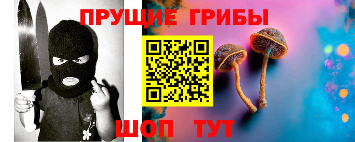 Псилоцибиновые грибы Cubensis Нижнекамск